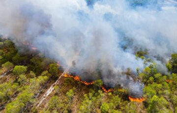 Incendi boschivi in Italia nel 2026