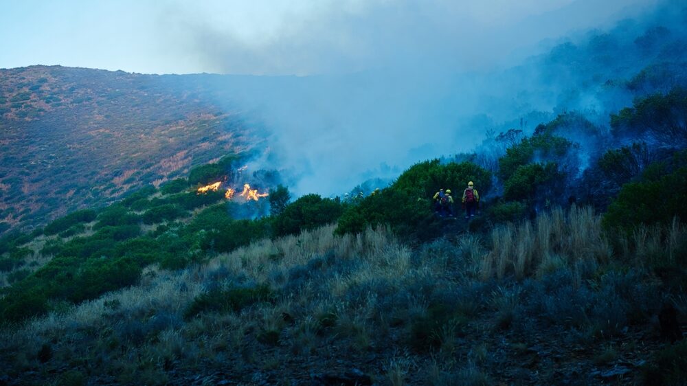 Intervento dei Vigili del Fuoco per incendi in Sicilia