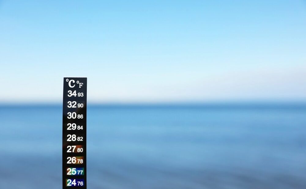 Temperatura media del mare