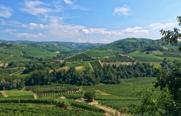 Sacchi Beer Fest a Cuneo